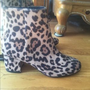 Leopard ankle boots